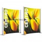 Centro stand Oval 2 Panel