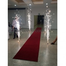 Sünnet Düğünü Organizasyonu - 10